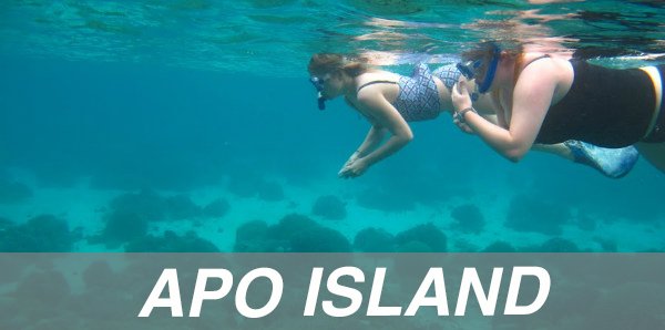 package tours apo island