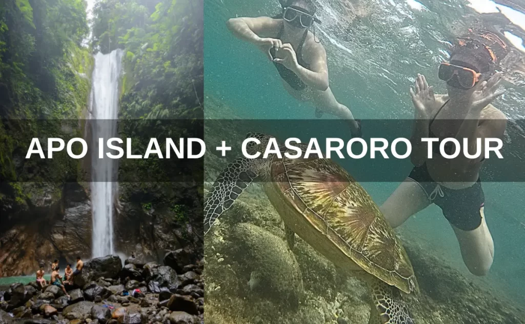 apo island with casaroro tour