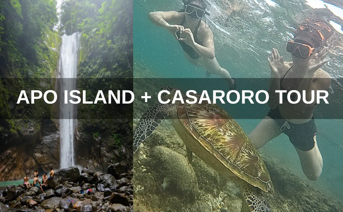apo island with casaroro tour