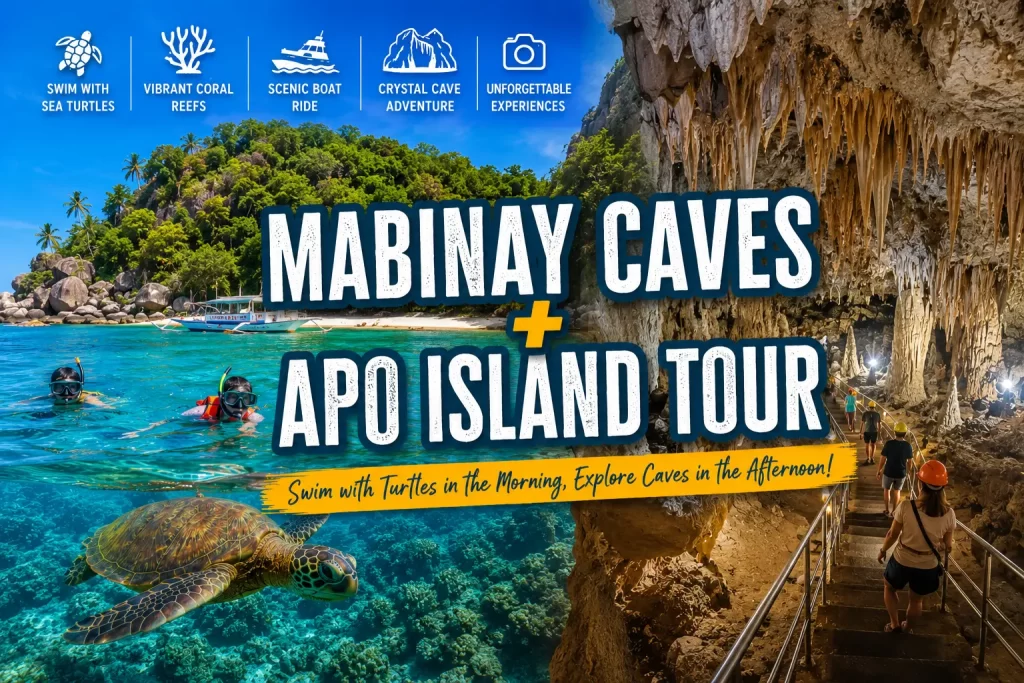 Mabinay Caves + Apo Island Tour